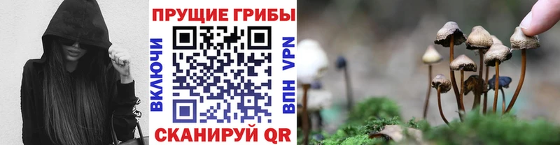 Галлюциногенные грибы Magic Shrooms  darknet Telegram  Троицк 